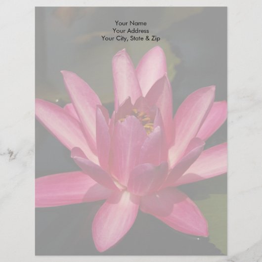 Roze Lotus Waterlily Gepersonaliseerd Briefhoofd (Voorkant)