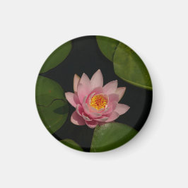 Roze Lotus Waterlily magnet