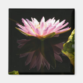 Roze Lotus Waterlily magnet