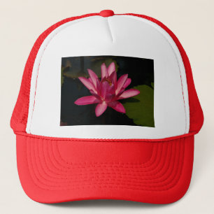 Roze Lotus Waterlily Pet