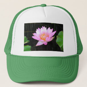 Roze Lotus Waterlily Pet