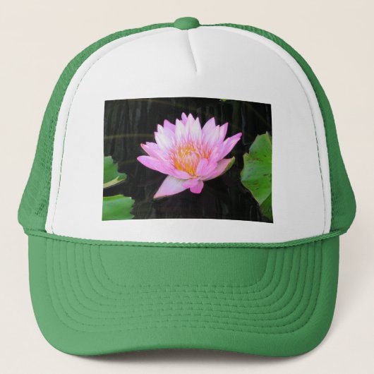 Roze Lotus Waterlily Pet (Voorkant)