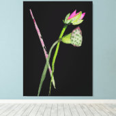 Roze Lotus waterverf Zen schilderkunst Canvas Afdruk (Insitu (Houten vloer))