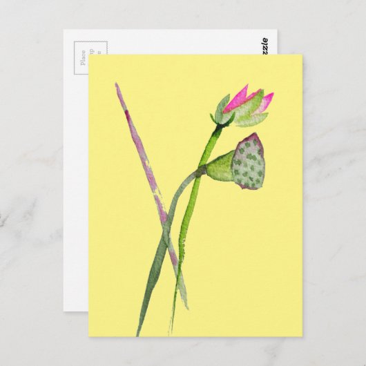 Roze Lotus Zen flower Buddhist Art Briefkaart (Voorkant / Achterkant)