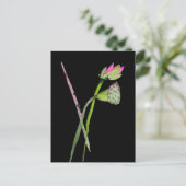 Roze Lotus Zen flower Buddhist Art Briefkaart (Staand voorkant)