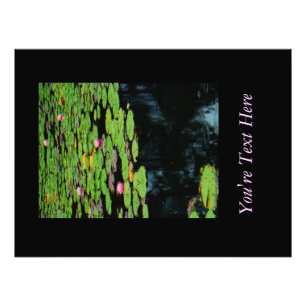 roze lotus zwart water foto afdruk