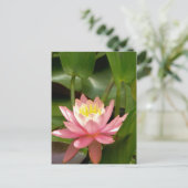 Roze lotusbloem briefkaart (Staand voorkant)