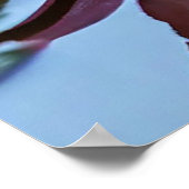 Roze lotusbloem met levendige bloemblaadjes poster (Hoek)