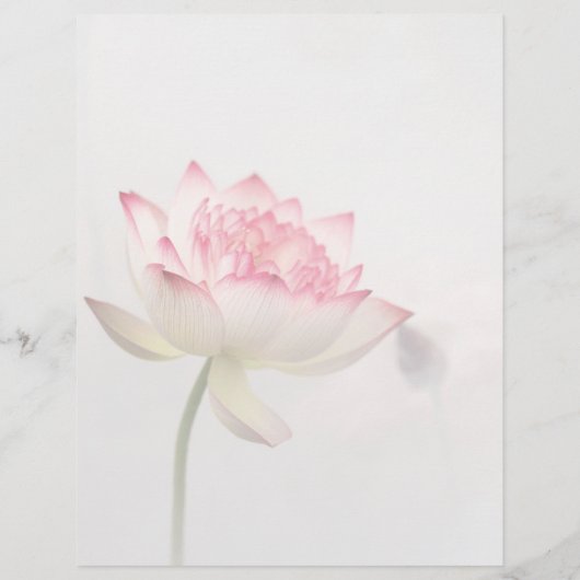 ©Roze Lotusbloem Service & Prijslijst Flyer (Achterkant)