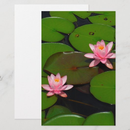 Roze lotusbloemtuin, briefpapier (Voorkant / Achterkant)