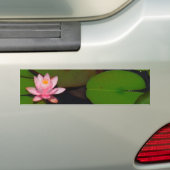 Roze lotusbloemtuin, bumpersticker (Op auto)