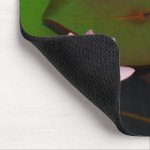 Roze lotusbloemtuin, muismat (Hoek)