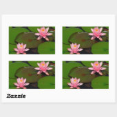 Roze lotusbloemtuin, rechthoekige sticker (Vel)