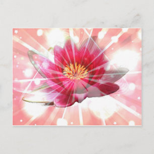 roze lotusbloesem briefkaart