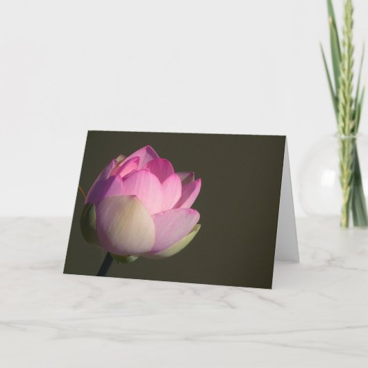 Roze Lotuskaart Kaart (Voorkant)