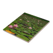 Roze lotusvijver voor de limoenbloem tegeltje (Zijkant)