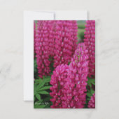 Roze Lupine Flat Note Kaart Notitiekaartje (Voorkant)