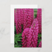 Roze Lupine Flat Note Kaart Notitiekaartje (Voorkant / Achterkant)