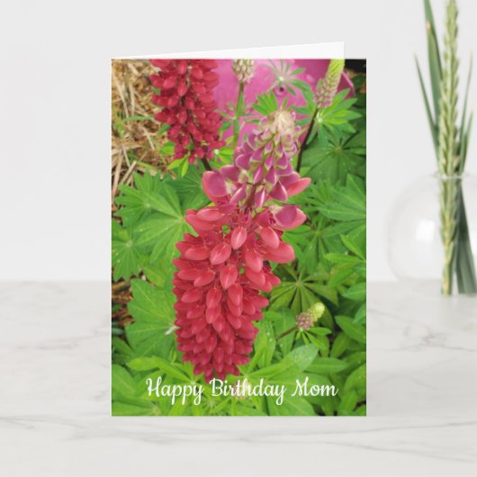  roze lupine Floral mam Birthday Kaart (Voorkant)