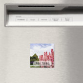 Roze Lupins @ Lake Tekapo Nieuw-Zeelandse magneet (Insitu (Vaatwasser))