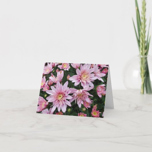 Roze maa kaart (Voorkant)