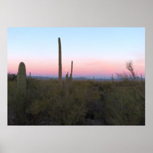 Roze maan boven Saguaro bij zonsopgang Poster