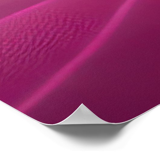 Roze maan - Roze plancanvas Poster (Hoek)