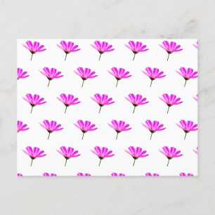 Roze Madelief  Feestdagenkaart