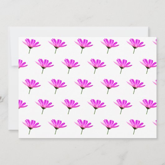 Roze Madeliefje (Voorkant)