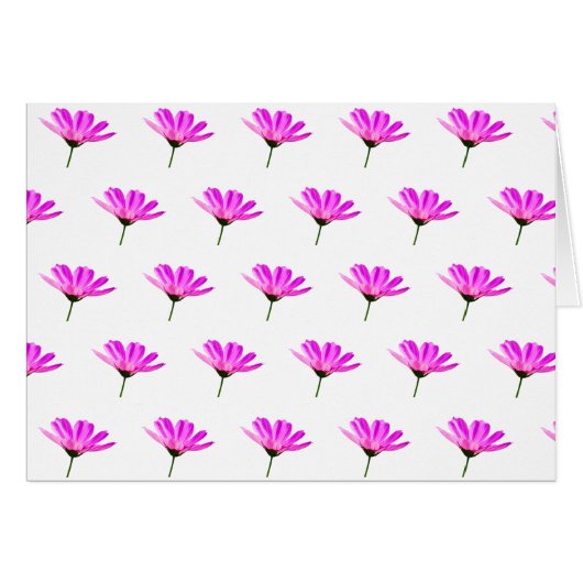 Roze Madeliefje (Voorkant Horizontaal)