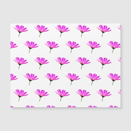 Roze Madeliefje (Voorkant)