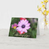 Roze madeliefje bloem kaart (Gele Bloem)