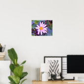 Roze Madeliefje Bloem Poster (Thuiskantoor)