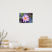 Roze Madeliefje Bloem Poster (Keuken)
