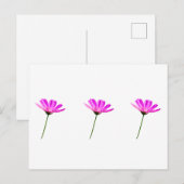 Roze Madeliefje Briefkaart (Voorkant / Achterkant)