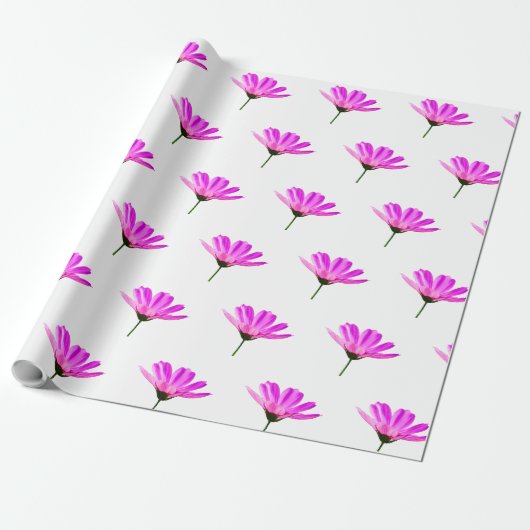 Roze Madeliefje Cadeaupapier (Uitgerold)