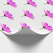 Roze Madeliefje Cadeaupapier (Hoek)