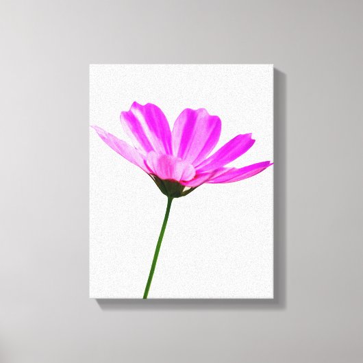 Roze Madeliefje Canvas Afdruk (Voorkant)