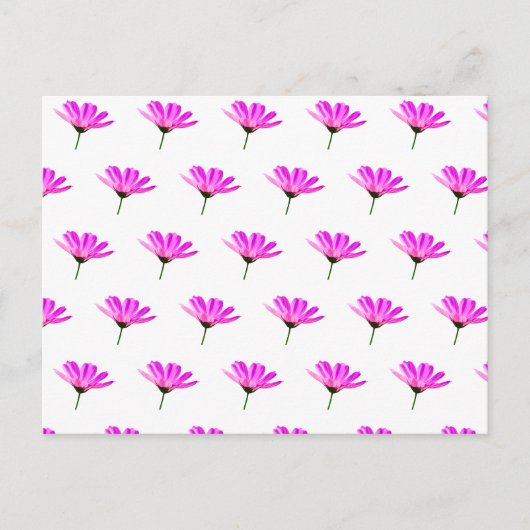 Roze Madeliefje Feestdagenkaart (Voorkant)