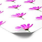 Roze Madeliefje  Foto Afdruk (Hoek)