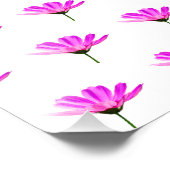 Roze Madeliefje Foto Afdruk (Hoek)
