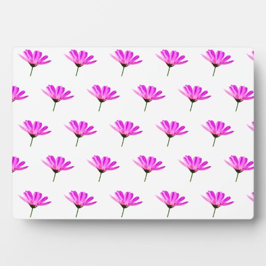 Roze Madeliefje Fotoplaat (voorkant)