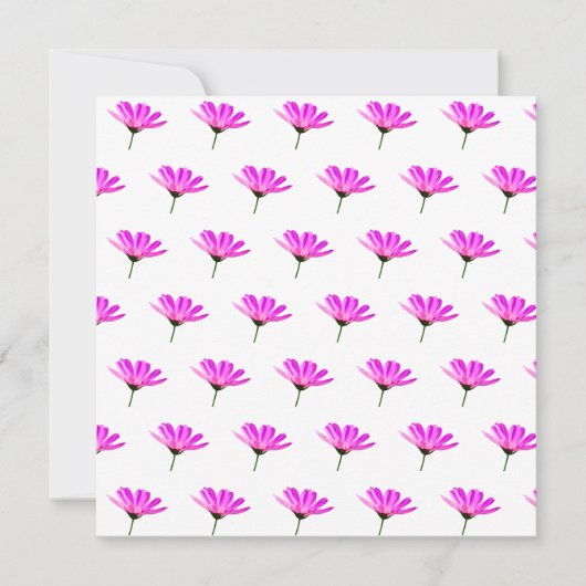 Roze Madeliefje Kaart (Voorkant)