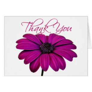 Roze madeliefje - Kaart