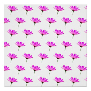 Roze Madeliefje  Perfect Poster