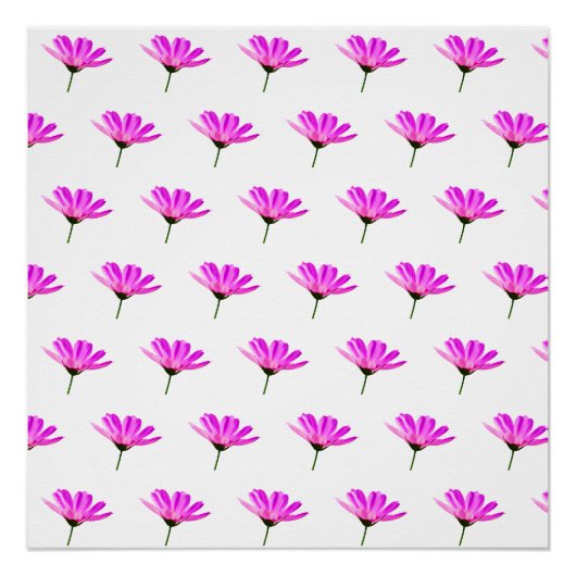Roze Madeliefje Perfect Poster (Voorkant)