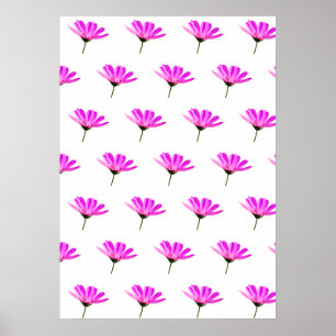 Roze Madeliefje Poster