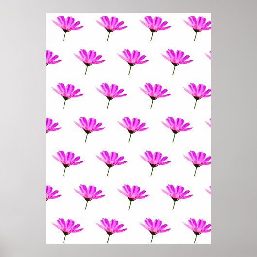 Roze Madeliefje Poster (Voorkant)