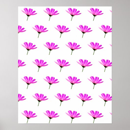 Roze Madeliefje Poster (Voorkant)