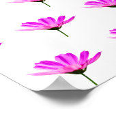 Roze Madeliefje  Poster (Hoek)